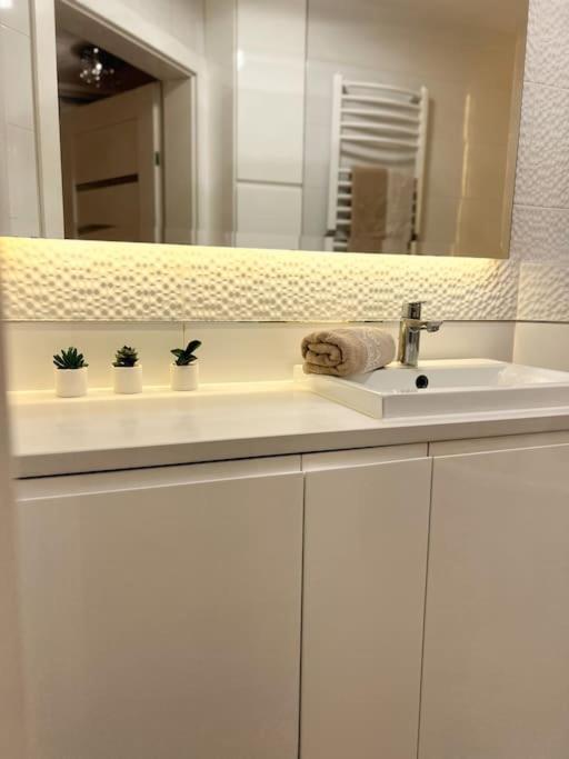 Apartament Zamojski Mlynska Замосць Экстерьер фото